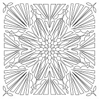 naranja star 001